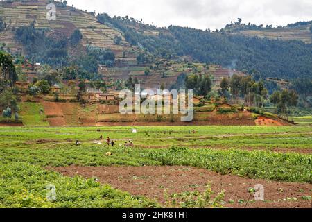 Scena rurale nel Rwand nord-occidentale Foto Stock