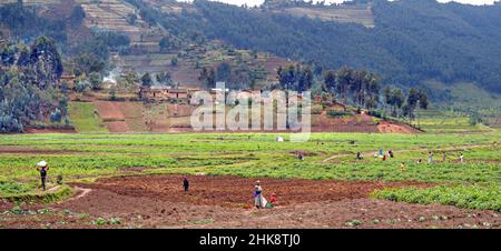 Scena rurale nel Rwand nord-occidentale Foto Stock