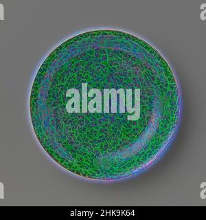 Ispirata al piatto di cicerini con rotoli di fiori su un terreno nero, il piatto di porcellana con parete arrotondata, dipinto in blu sottobassa, sul biscotto nero e verde e sul rosso glassa. La parte anteriore del piatto è completamente ricoperta da uno smalto nero con tendini di fiori verdi in riserva; la parte posteriore con, riimmaginato da Artotop. L'arte classica reinventata con un tocco moderno. Design di calda e allegra luminosità e di raggi di luce. La fotografia si ispira al surrealismo e al futurismo, abbracciando l'energia dinamica della tecnologia moderna, del movimento, della velocità e rivoluzionando la cultura Foto Stock