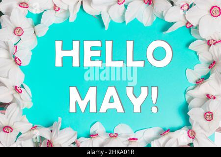 Cornice di fiori di narcisi con il testo che può ciao su sfondo blu. Foto Stock