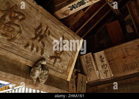 Iida, nagano, giappone, 2022/03/02 , decorazioni e calligrafia sul soffitto del luogo di pratica del tiro con l'arco al Tempio di Motozenkouji. Ha un forte rel Foto Stock