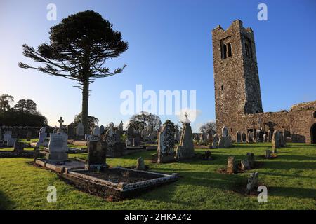 Friedhof und Ruinen der Klosterkirche auf dem Hill of Slane, Provinz Leinster, Irland / le rovine della chiesa franca e il cimitero sulla collina Foto Stock