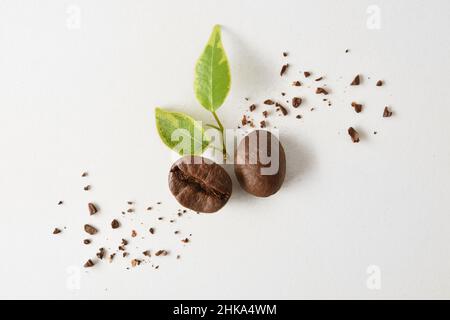Chicchi di caffè con due foglie e pezzi schiacciati su tavola bianca. Vista dall'alto. Composizione orizzontale. Foto Stock