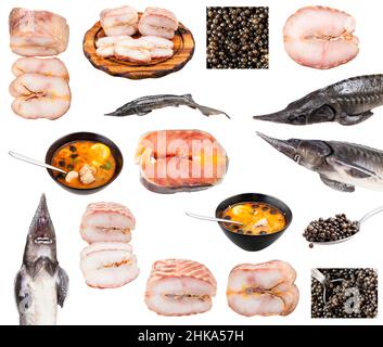 set di vari pesci storione cotti e crudi isolati su sfondo bianco Foto Stock
