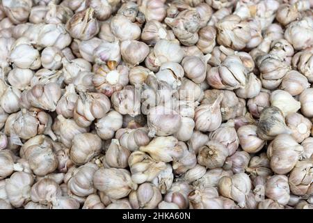 Primo piano dettaglio dei bulbi di aglio (Allium sativum) in un mercato alimentare locale a Hue, provincia di Thua Thien Hue, Vietnam centrale Foto Stock