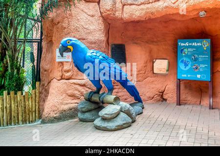 Scultura di un macaw di Spix (Cyanopsitta spixii), noto anche come il piccolo macaw blu nel giardino zoologico di Quinta da Boa Vista. Il famoso publ Foto Stock