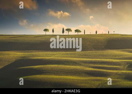 Colline ondulate, cipressi e pini in cima alla collina al tramonto. Torrenieri, Val d'Orcia, Siena, Toscana, Italia Foto Stock