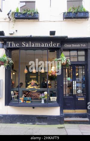 Viste intorno alla città di Bath, Somerset, Regno Unito, il Salamander un pub britannico grande su John St Bath. Foto Stock