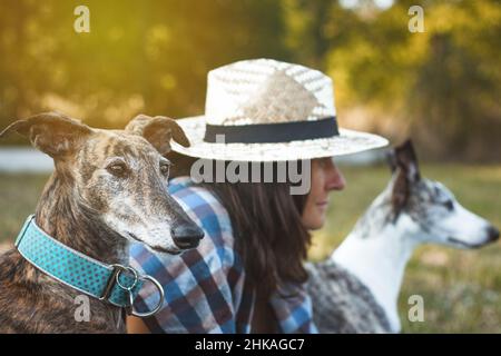 Cani Greyhound con loro donna proprietario, donna, galgo spagnolo e whippet in natura. Fuoco selettivo Foto Stock