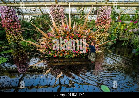 Londra, Regno Unito. 3rd Feb 2022. Gli orticulturisti di Kew Gardens hanno messo i ritocchi finali alle esposizioni del Festival delle orchidee (che quest'anno si concentra sulla Costa Rica) nel Conservatorio della Principessa del Galles. Il festival si svolge da sabato 5 febbraio a domenica 6 marzo 2022. Credit: Guy Bell/Alamy Live News Foto Stock