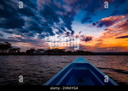 Vista di una barca da pesca blu che corre attraverso la superficie dell'acqua del lago Naivasha in Kenya, dirigendosi verso la riva per consegnare le catture della giornata Foto Stock