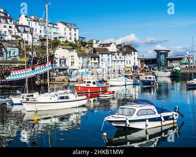 Una giornata di sole a Brixham nel sud del Devon, con il famoso mercato di pesce Rockfish e ristorante sullo sfondo. Foto Stock