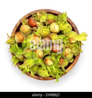 Nocciole verdi fresche con foglie verdi in ciotola di legno isolata su bianco. Foto Stock