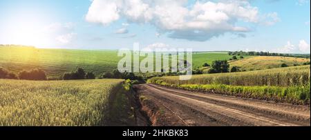 Paesaggio estivo con erba verde, su strada e nuvole Foto Stock