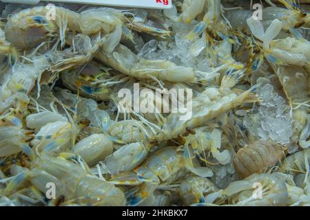 Gamberetti Mantis (gamberi) o stomatopodi nel mercato del pesce in Australia Foto Stock