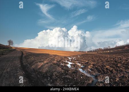 Campo agricolo senza piante in primavera. Campo allagato dopo la pioggia. Cielo piovoso sopra terra di fattoria Foto Stock