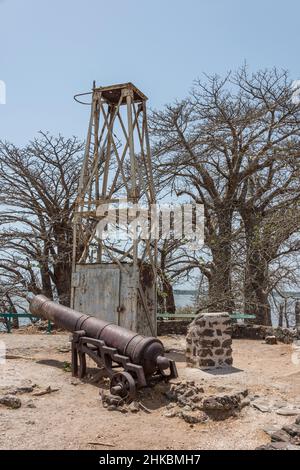 Antiche torri e cannoni sull'isola di James nel fiume Gambia Foto Stock