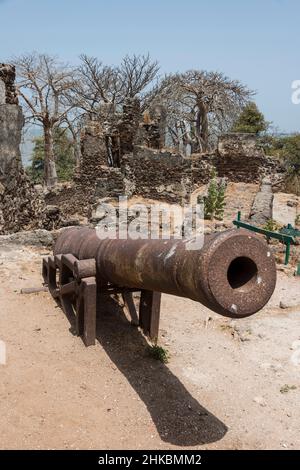 Vecchio cannone sull'isola di James nel fiume Gambia Foto Stock