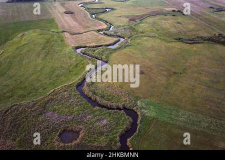 Fiume Biebrza nella polonia orientale. Foto Stock