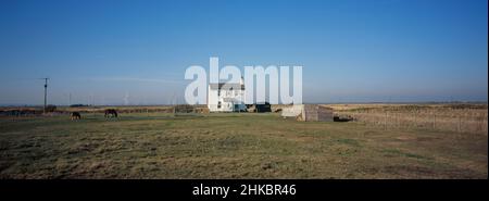 Fattoria su Romney Marsh vicino Lydd Road al confine di Kent/Sussex. Sullo sfondo si trova la fattoria del vento Little Cheyne Court. Foto Stock