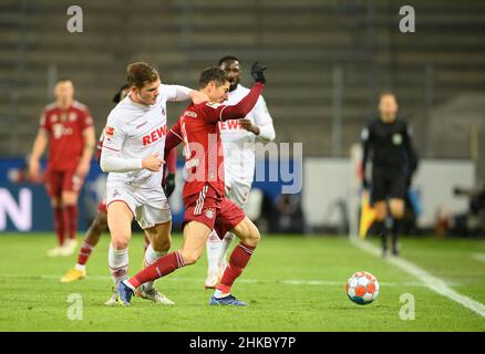 Robert LEWANDOWSKI r. (M) in duelli contro Luca KILIAN (K), azione, calcio 1st Bundesliga, 19th matchday, FC Cologne (K) - FC Bayern Monaco (M) 0: 4, il 15th gennaio 2022 a Koeln/ Germania. Le normative #DFL vietano l'uso di fotografie come sequenze di immagini e/o quasi-video # Â Foto Stock