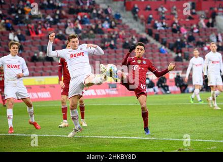 Jamal MUSIALA r. (M) in duelli contro Luca KILIAN (K), azione, calcio 1st Bundesliga, 19th matchday, FC Cologne (K) - FC Bayern Monaco (M) 0: 4, il 15th gennaio 2022 a Koeln/ Germania. Le normative #DFL vietano l'uso di fotografie come sequenze di immagini e/o quasi-video # Â Foto Stock