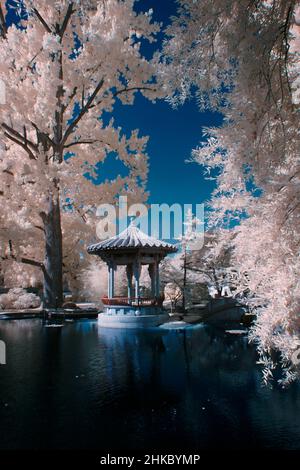 immagine infrarossa - giardino cinese tre amici d'inverno - città di zurigo - svizzera Foto Stock