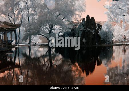 immagine infrarossa - giardino cinese tre amici d'inverno - città di zurigo - svizzera Foto Stock