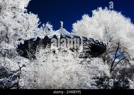 immagine infrarossa - giardino cinese tre amici d'inverno - città di zurigo - svizzera Foto Stock