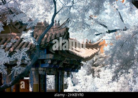 immagine infrarossa - giardino cinese tre amici d'inverno - città di zurigo - svizzera Foto Stock