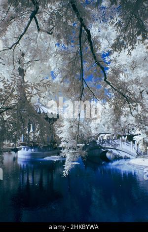 immagine infrarossa - giardino cinese tre amici d'inverno - città di zurigo - svizzera Foto Stock