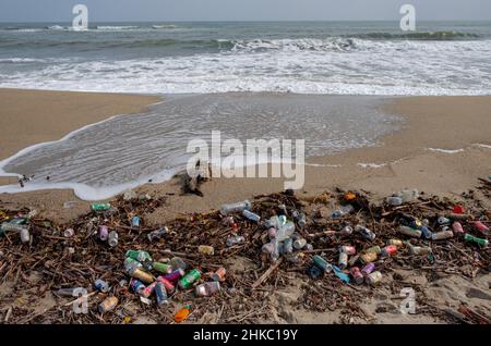 Pollution plage dechets mer mediterranee Foto Stock