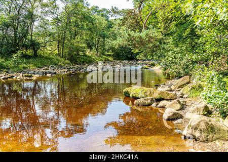 Le acque torbide del fiume Allen a Allen Banks vicino Beltingham, Northumberland Regno Unito Foto Stock