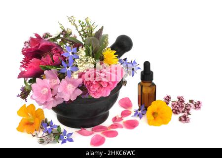 Fiori ed erbe per trattamenti di medicina vegetale, condimento e decorazione alimentare con bottiglia di olio essenziale su sfondo bianco. Foto Stock