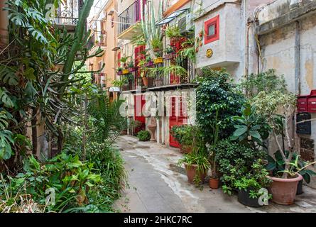 Strada stretta con vasi di fiori e porte e finestre di colore rosso brillante nella città di Monreale vicino Palermo, Sicilia, Italia Foto Stock