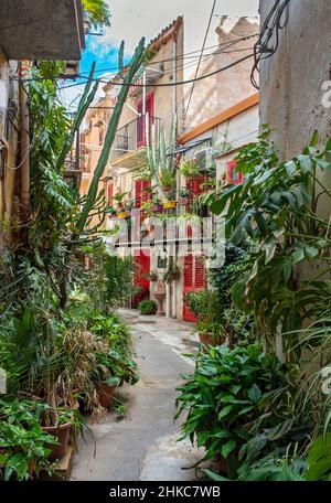 Strada stretta con vasi di fiori e porte e finestre di colore rosso brillante nella città di Monreale vicino Palermo, Sicilia, Italia Foto Stock