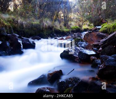 Slow-motion time-lapse di blurry paesaggio d'acqua fiume e verde foresta pluviale lungo Santa Cruz Trek vicino Huaraz, Perù. Foto Stock