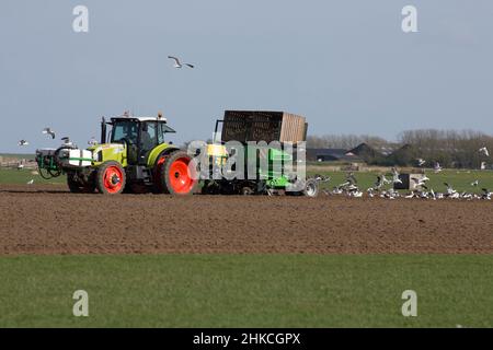 Macchina per piantare patate, Isola di Texel, Olanda, Europa Foto Stock