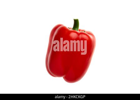 Paprika rossa isolata su sfondo bianco. Peperone dolce maturo, verdure naturali biologiche, dieta vegana. Primo piano singolo oggetto, concetto di cibo sano Foto Stock
