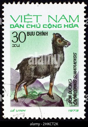 VIETNAM - CIRCA 1973: Un francobollo stampato in Vietnam mostra il serow continentale, capricornis sumatraensis, nativo del Himalaya, Sud-est asiatico e Cina, wi Foto Stock