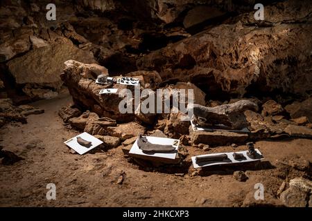 Le grotte di Koneprusy sono un sistema di grotte nel cuore della regione calcarea conosciuta come Carso Boemo, Repubblica Ceca. Si trova a sud-ovest di Praga Foto Stock