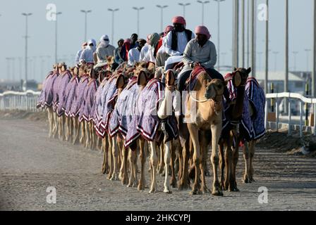 Corsa Arabian Camel a Shahaniya QATAR Foto Stock