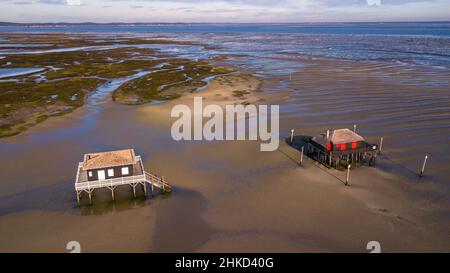 FRANCIA. GIRONDA (33). BASSIN DI ARCACHON. IL CABANES TCHANQUEES E L'ISOLA DEGLI UCCELLI (VISTA AEREA) Foto Stock