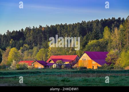 Farm Buildings, Cowichan Bay, British Columbia, Canada Foto Stock