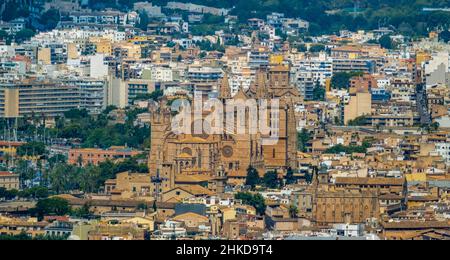 Fotografia aerea, Chiesa di Santa Iglesia Catedral de Mallorca, Cattedrale di Palma, Porto, Palma, Maiorca, Isole Baleari, Spagna, Sito di culto, Episcopa Foto Stock