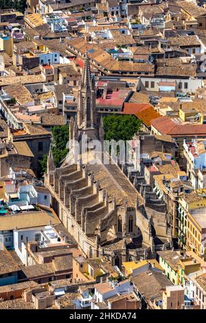 Veduta aerea, chiesa cattolica Iglesia de Santa Eulalia, el Call, Palma, Maiorca, Isole Baleari, Spagna, luogo di culto, ES, Europa, comm religioso Foto Stock