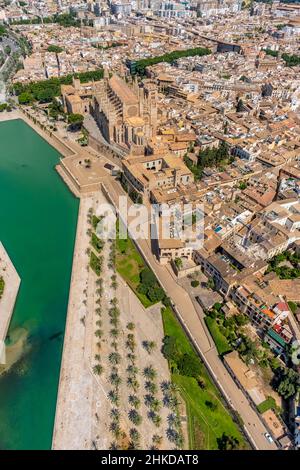 Fotografia aerea, Chiesa di Santa Iglesia Catedral de Mallorca, Cattedrale di Palma, Parc de la Mar, Palma, Maiorca, Isole Baleari, Spagna, Devozionale S Foto Stock