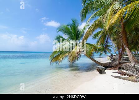 Spiaggia incontaminata di palme sull'isola di Chichime (San Blas) Foto Stock