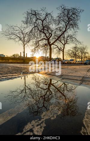 Parigi, Francia - 1 marzo 2021: Riflessione degli alberi in una pozzanghera al tramonto a Parigi Foto Stock