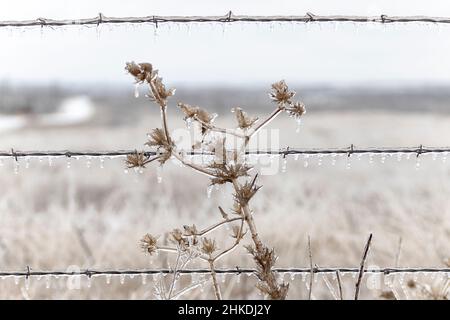 Flower Mound, Texas, USA. 3rd Feb 2022. Un fronte artico freddo ha colpito il Texas del Nord e il resto del paese, portando pioggia e neve gelide nella regione. Nel 2021, il Texas ha vissuto una delle peggiori tempeste invernali della storia che ha portato alla chiusura della rete elettrica dello stato per migliaia di residenti. (Credit Image: © Chris Rusanowsky/ZUMA Press Wire) Foto Stock